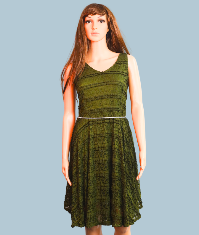 Olive Green Sleeveless Lace Fit & Flare Dress for Women